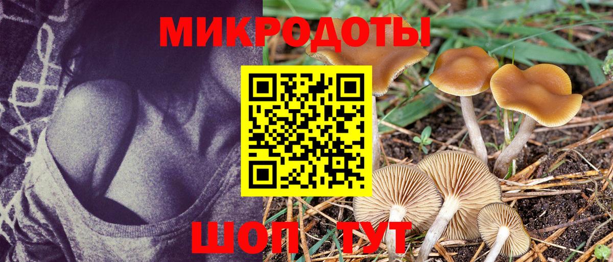Галлюциногенные грибы мицелий  Вход с VPN  Мегион  наркошоп  Галлюциногенные грибы Psilocybine cubensis 